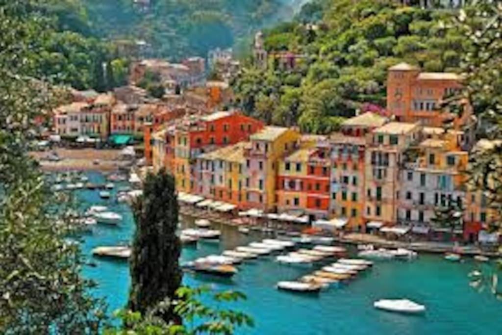 Sunny And Lovely - Free Wifi