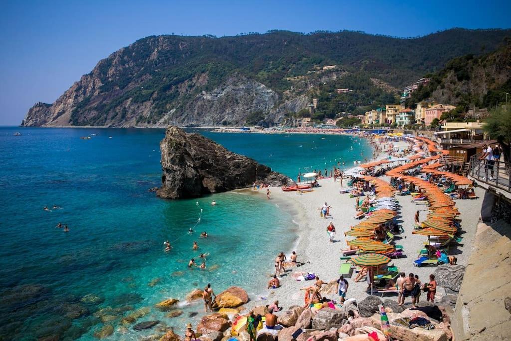 Sunny And Lovely - Free Wifi